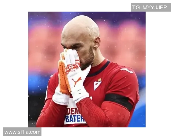 德米特罗维奇：代替霍安没额定压力，前几年顶布努压力是真大