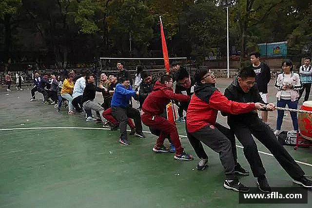 关于彩神Vll